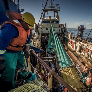 Kalastusyritysten kehittäminen