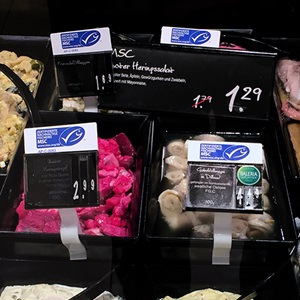 Sertifioinnin jälkeen: resurssit