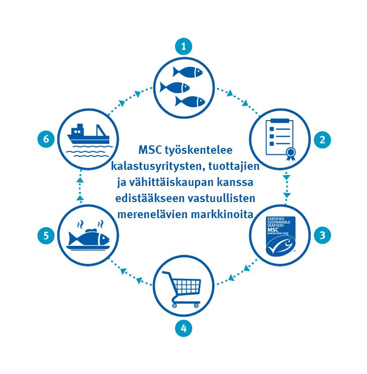 RS7052_TheoryOfChange_Infographic_Numbers_FI