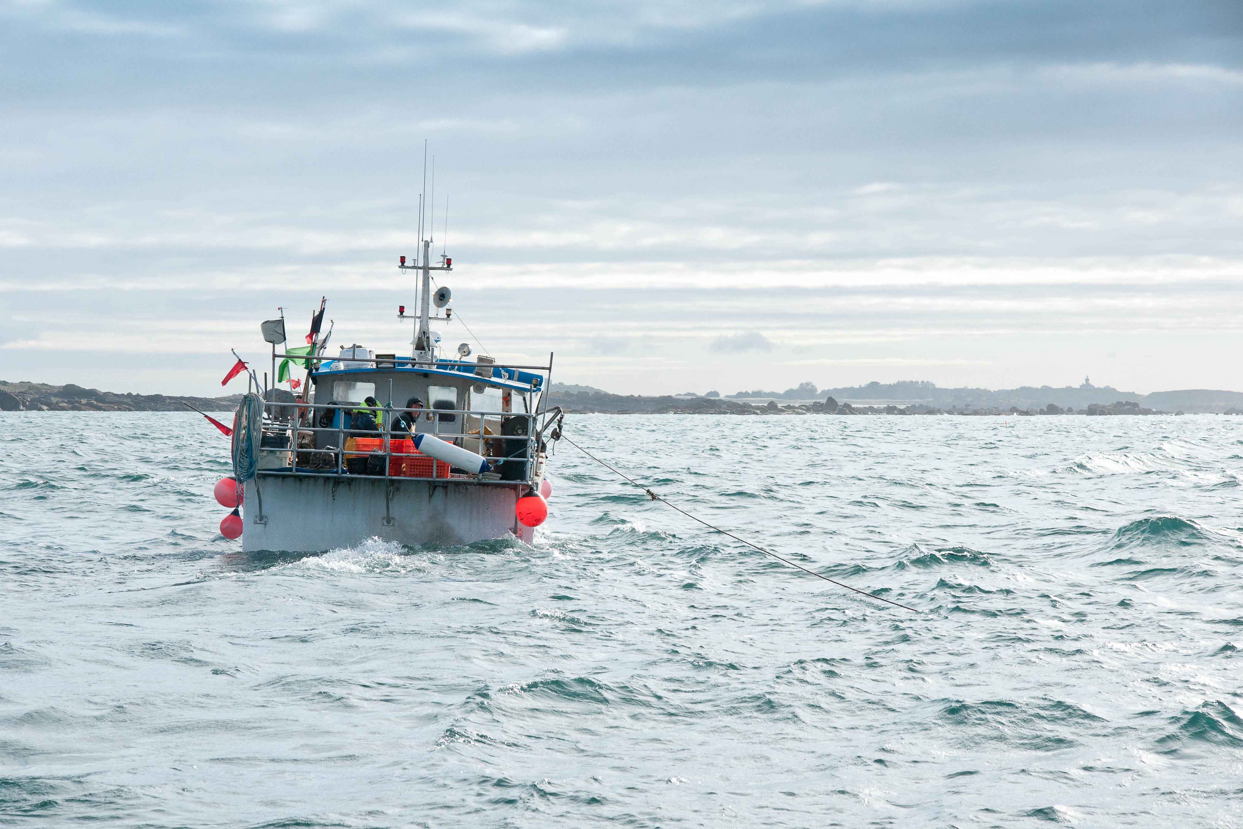 Der MSC-Umweltstandard Version 3