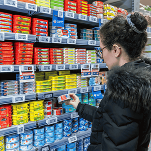 aziende catena di custodia