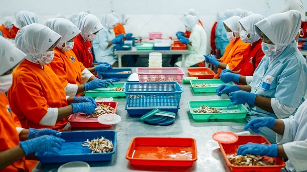 Termes de Référence