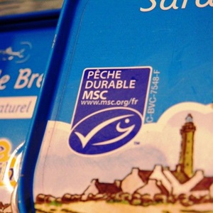 Utiliser le label MSC Pêche Durable