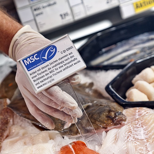 Guide d'utilisation du label MSC