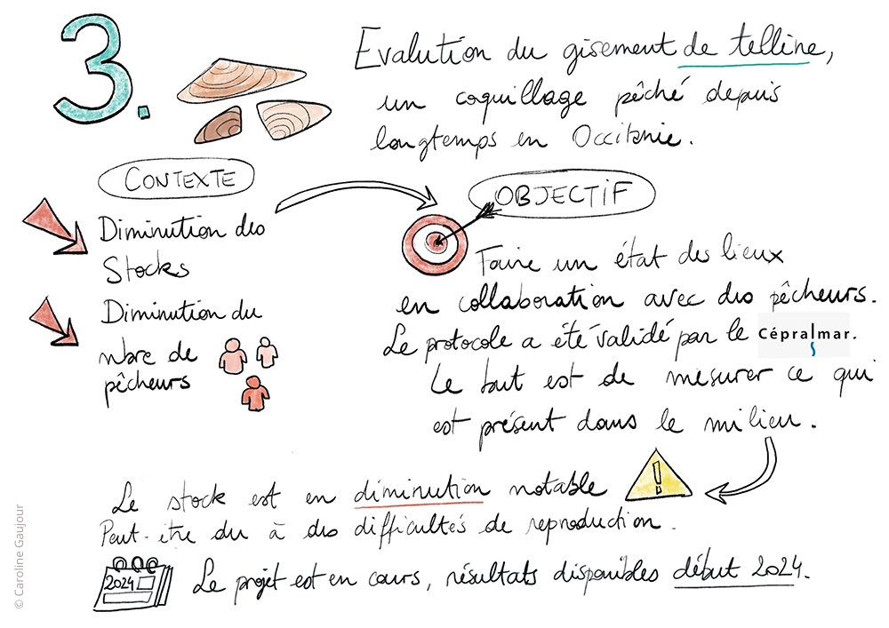 Medfish-pecherie-3 infographie projet Medfish telline