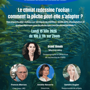 Le MSC et la Plateforme Océan & Climat s’associent pour la Journée Mondiale de l’Océan
