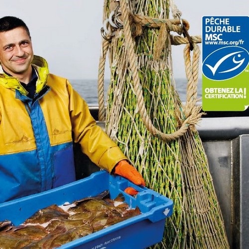 Guide de certification de Pêcheries
