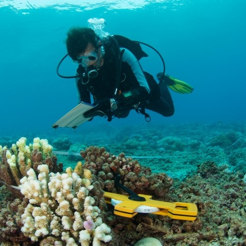 Recherche scientifique