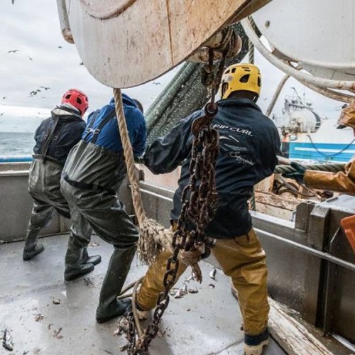 Pourquoi certifier votre pêcherie ?