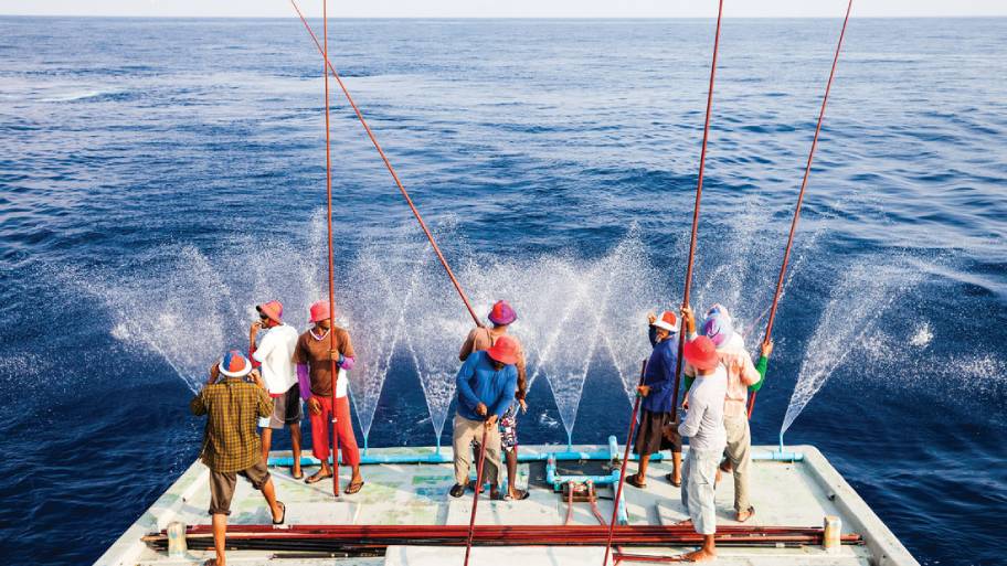 Fisch für Fisch: Zertifizierte Fischer in den Gewässern der Malediven