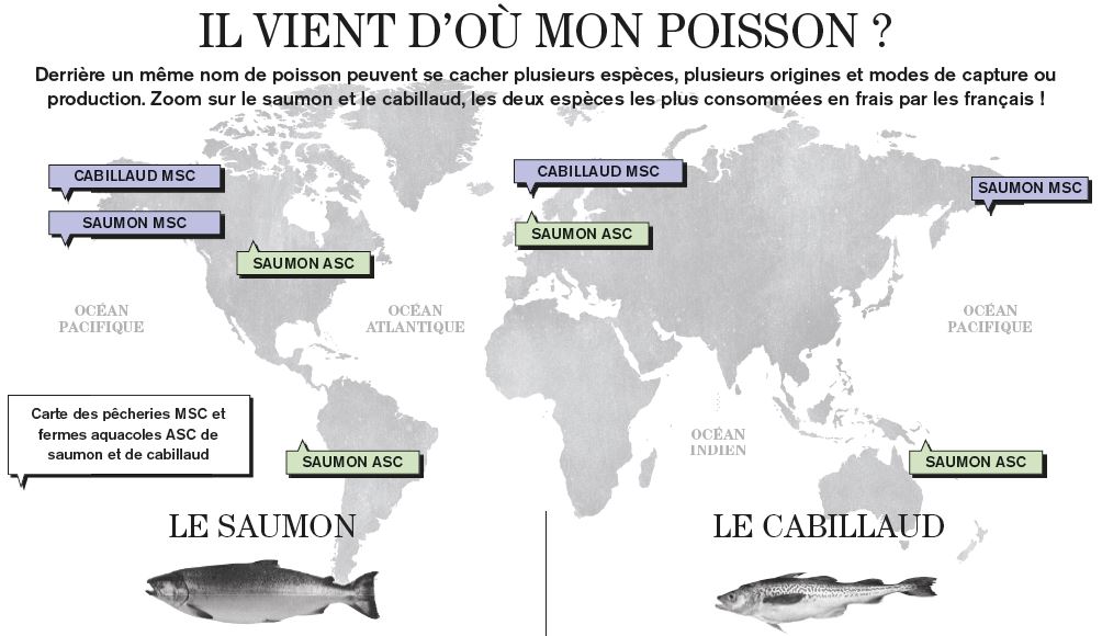 Il vient d'où mon poisson