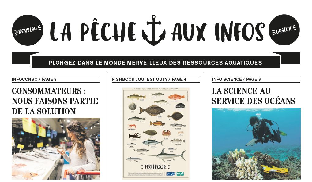 La pêche aux infos
