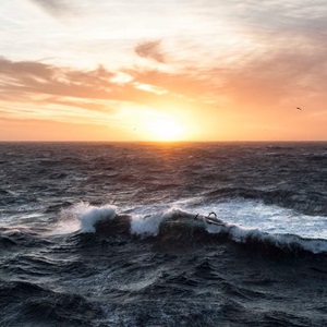 STATEMENT - 60 pays ratifient le Traité sur la Haute Mer (BBNJ) : le MSC salue cette étape clé et rappelle le rôle des pêcheries durables
