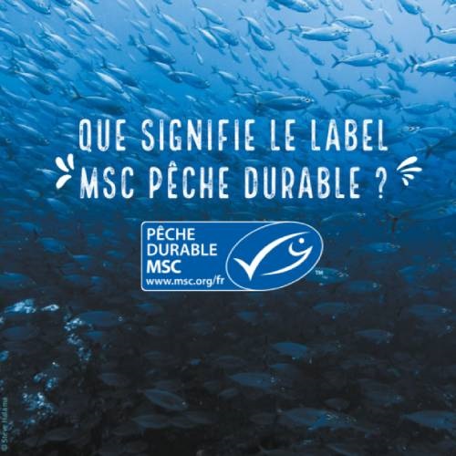 Que signifie le label MSC pêche durable? 