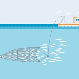 Le chalut pélagique