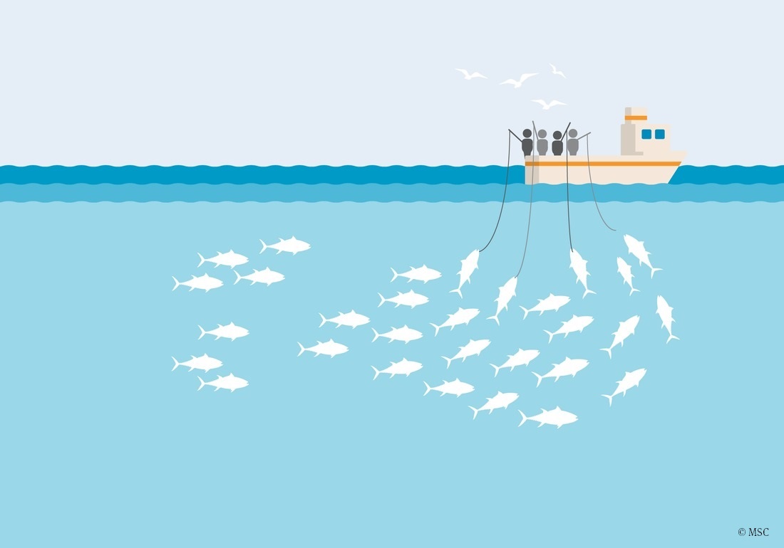 illustration de la pêche à la ligne