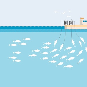 La ligne ou la canne