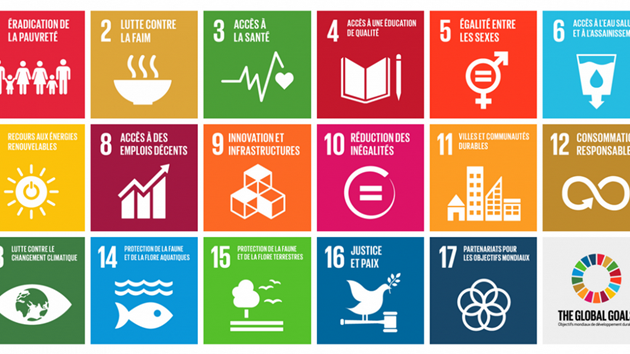 Le MSC et les Nations Unies