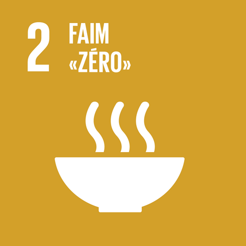 ODD 2 Faim