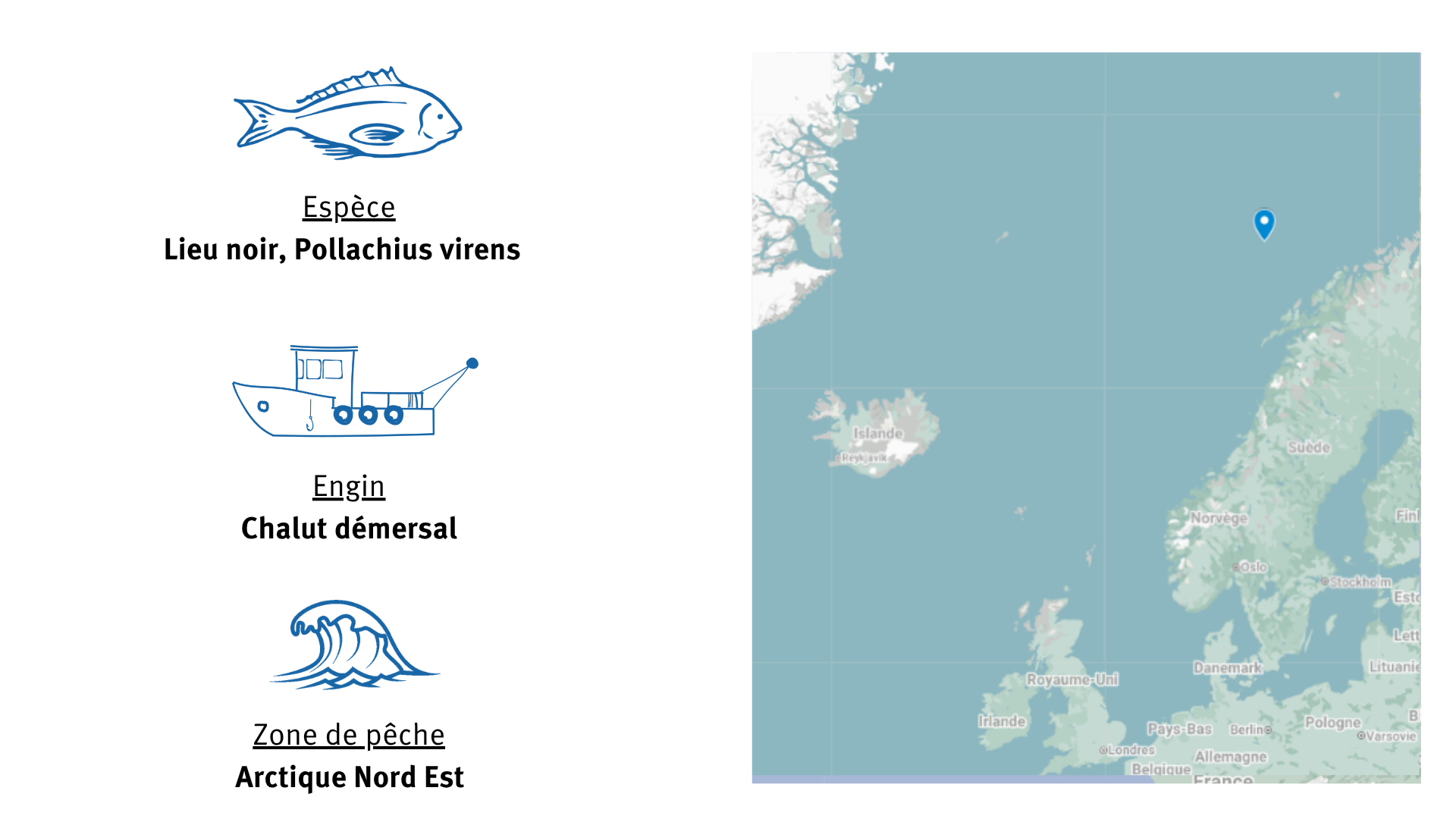 Pêcherie de lieu noir d'Arctique Nord-Est Pêcherie de lieu noir d'Arctique Nord-Est