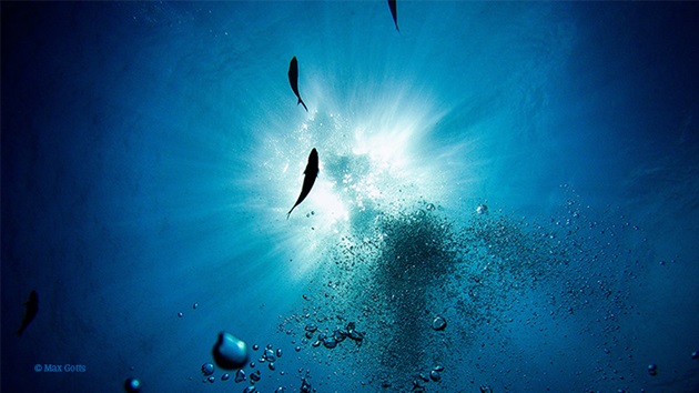 Rapport d'impact MEDPATH 2024