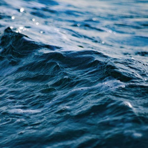 Ayudas para que la pesquería de camarón de Sonora siga mejorando