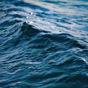 Pêcherie de thon germon et albacore en Polynésie Française