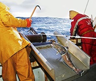 Rencontre avec les pêcheurs de légine australe de Kerguelen