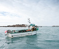 Rencontre avec les pêcheurs de homard du Cotentin et de Jersey