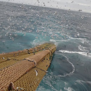 Engins de pêche et durabilité