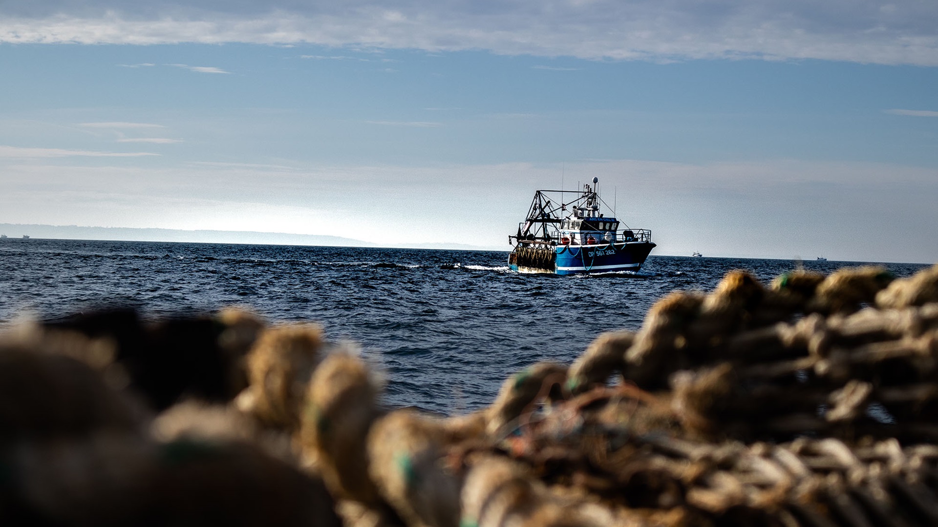 coquillard dans la baie de seine