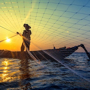 Fonds d'Appui pour la Pêche Durable