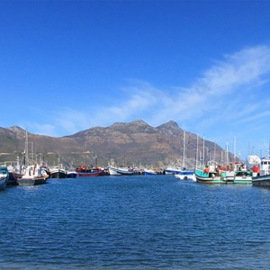 Outils pour l'amélioration des pêcheries