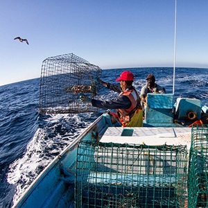 Fish for good - Indonésie