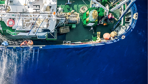 Du bateau à l'assiette