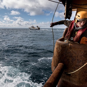 Pêcherie de lieu noir d'Arctique Nord-Est