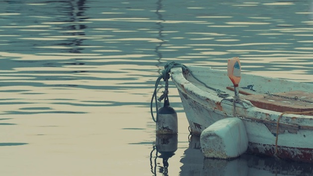 Pernyataan Resmi MSC