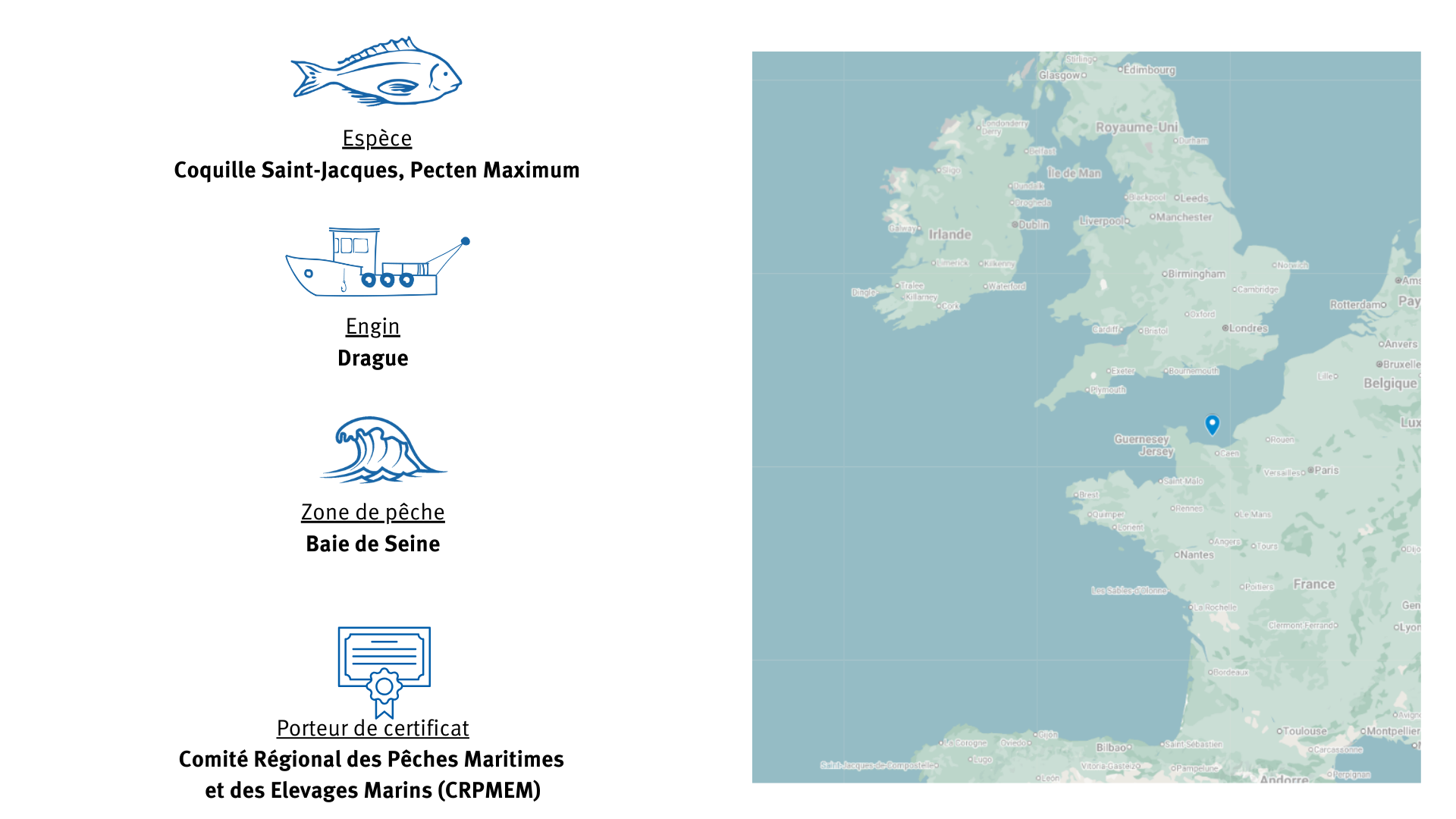 Pecherie-de-coquille-Saint-Jacques-de-la-Baie-de-Seine
