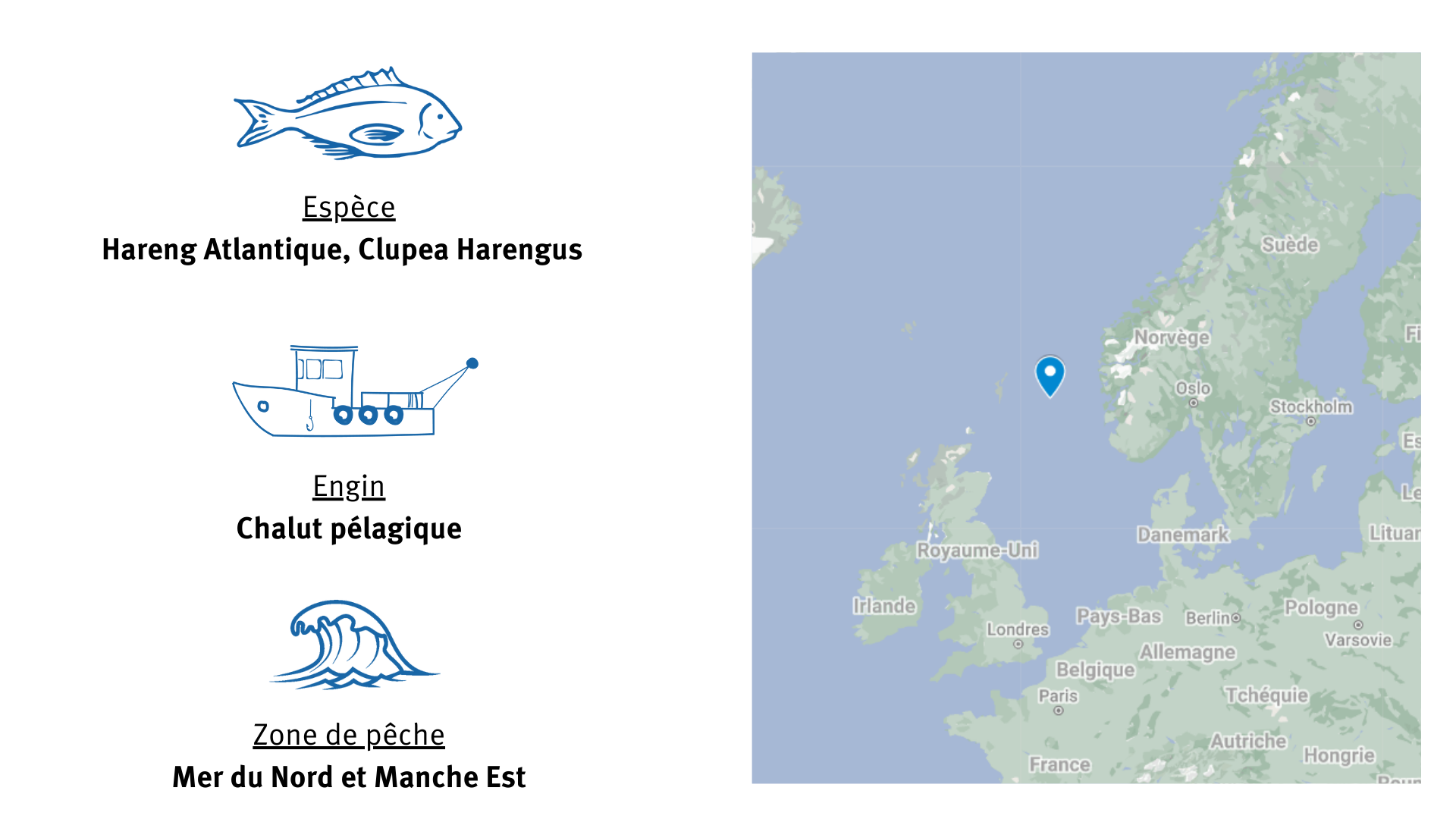 Pêcherie de hareng de Manche Est et de Mer du Nord carte de la pêcherie de hareng de Manche Est et de Mer du Nord