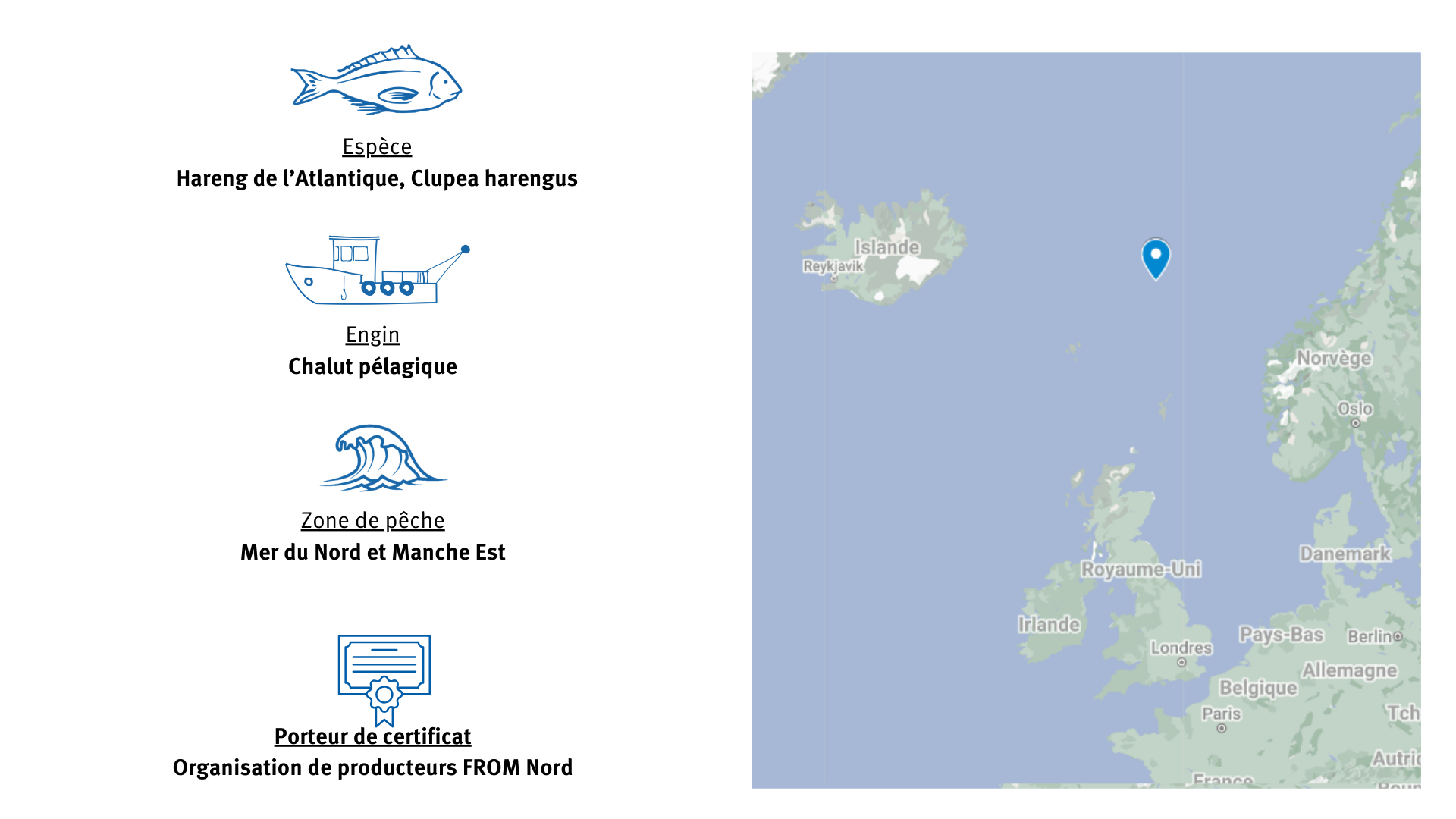 carte de la pêcherie de hareng de Manche Est et de Mer du Nord