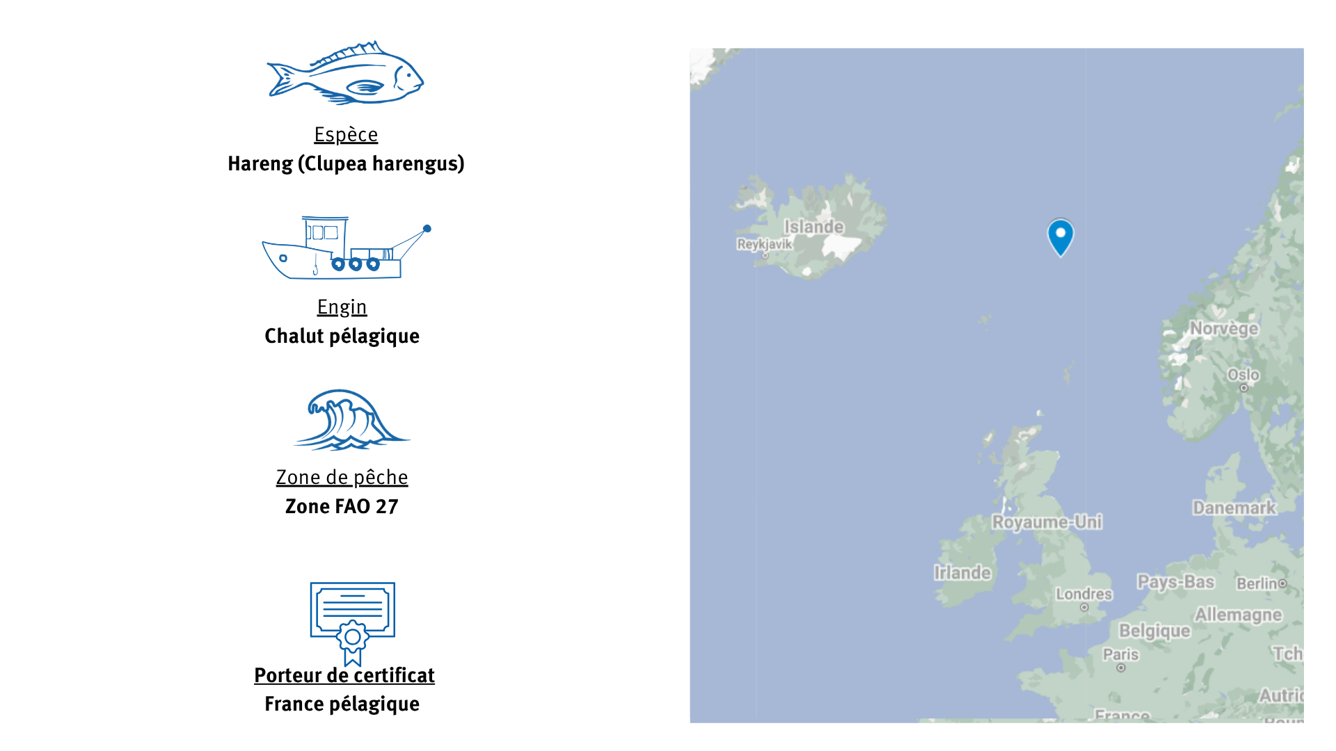 Fiche d'identité Pêcherie de hareng de Mer du Nord