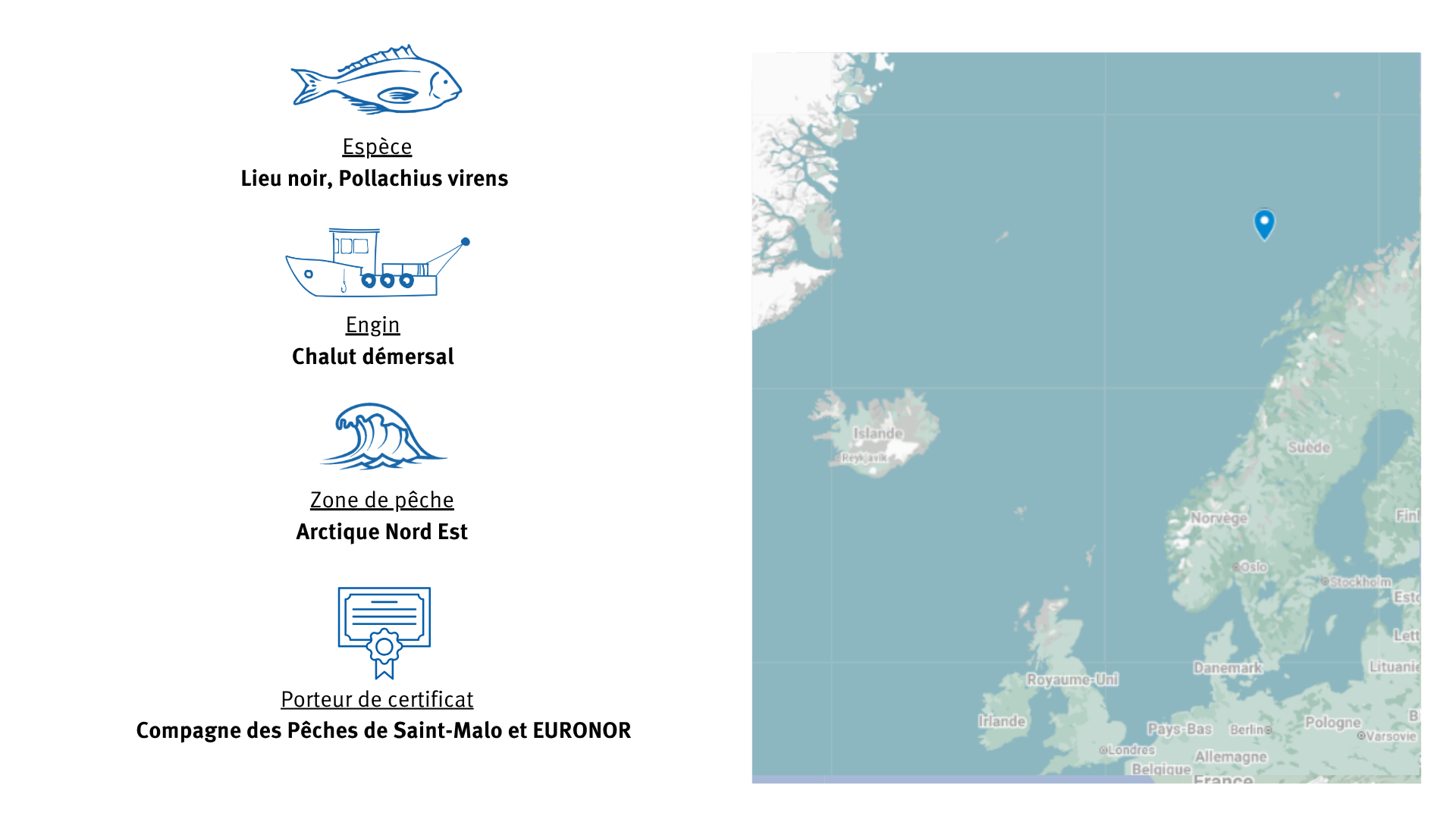 Pêcherie de lieu noir  d'Arctique Nord-Est