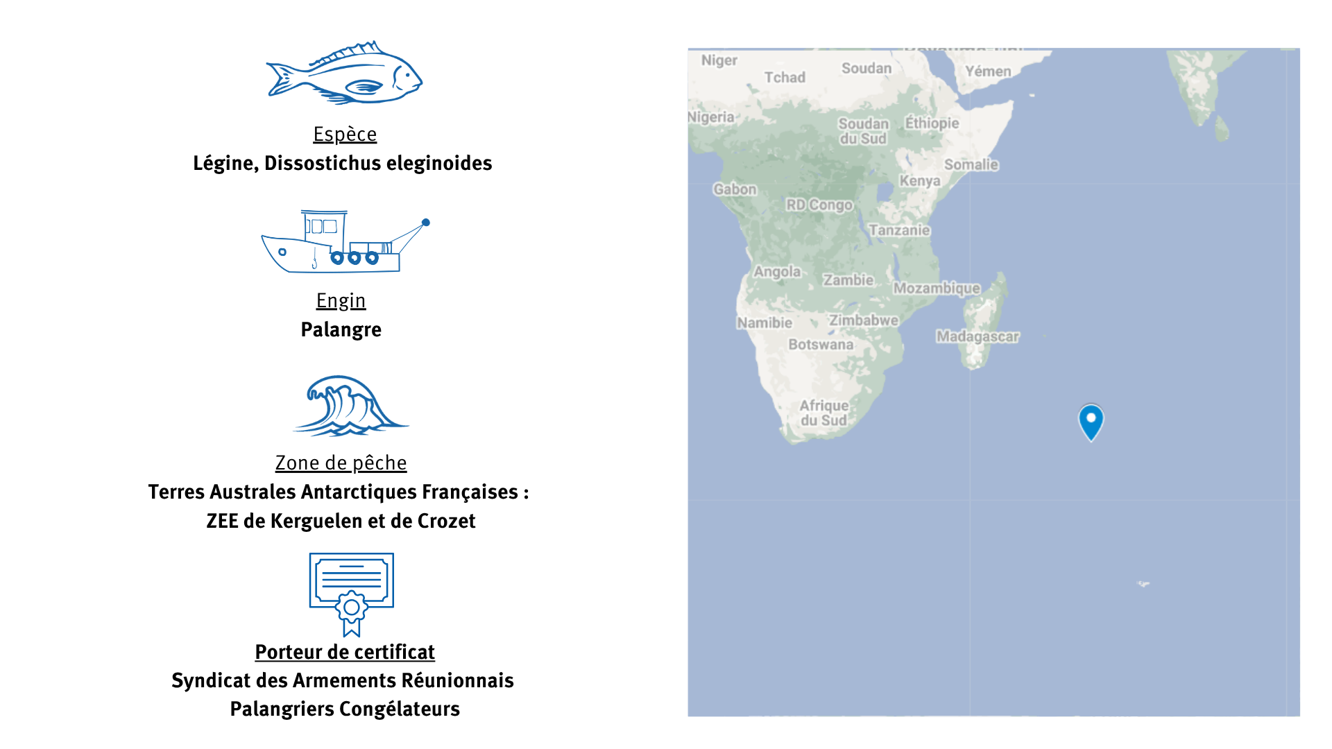 fiche espèce de la pêcherie de légine de Kerguelen et de Crozet dans les TAAF