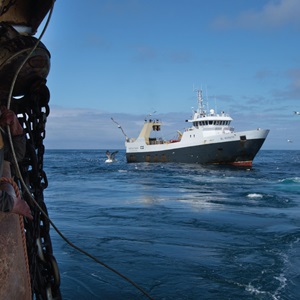 Les pêcheries engagées