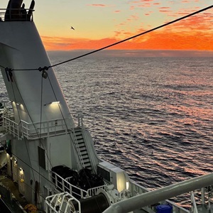 Améliorer les connaissances scientifiques sur les espèces protégées en Arctique Nord-Est