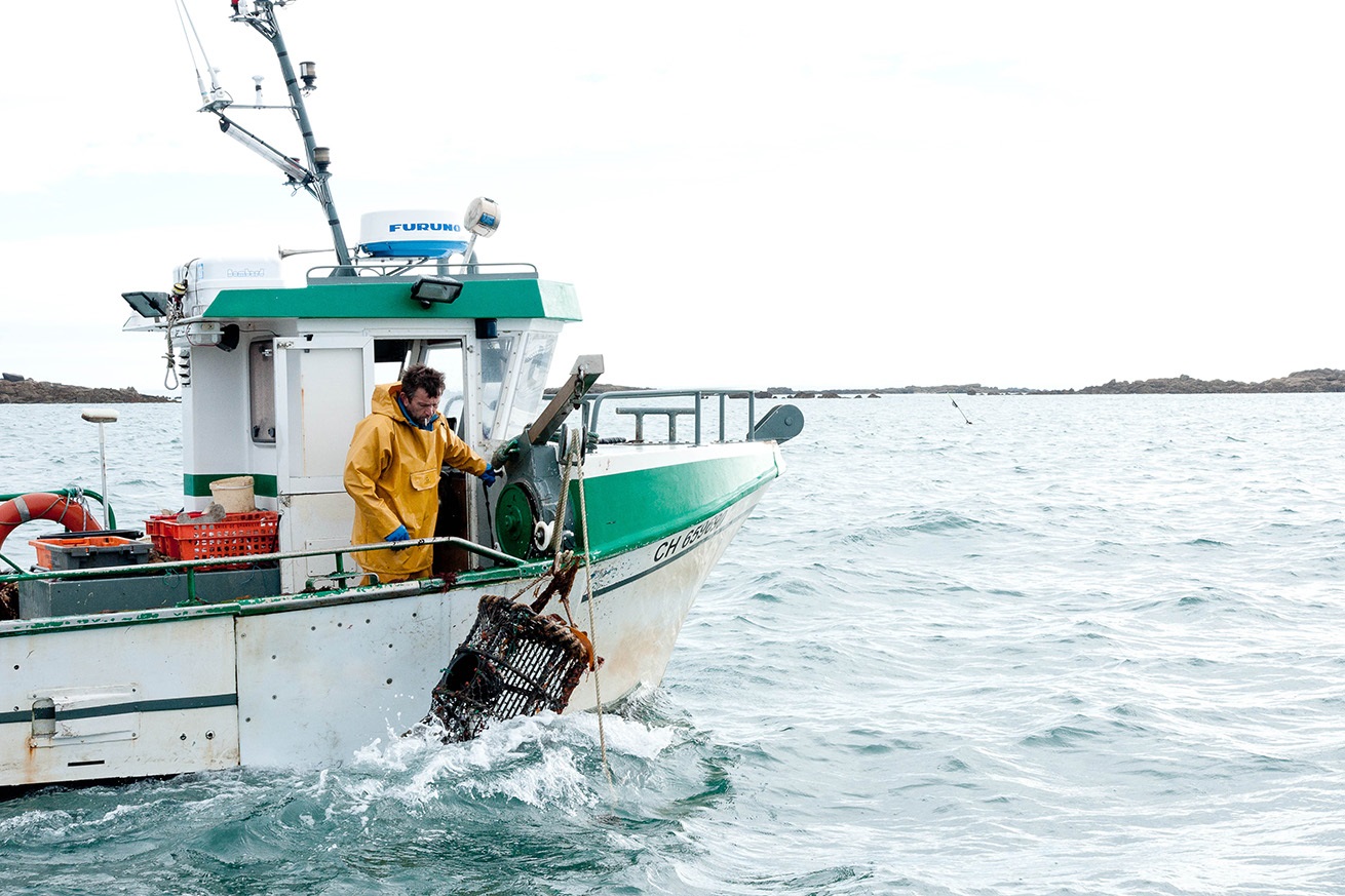 pêcheur de homard met son casier à l'eau