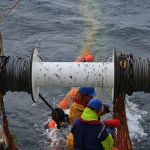 Recherche scientifique