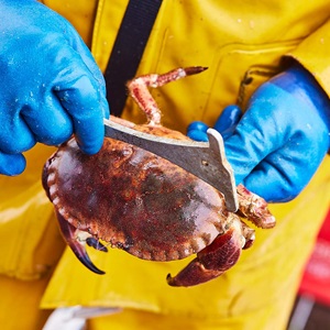 Le Référentiel MSC Pêche Durable version 3
