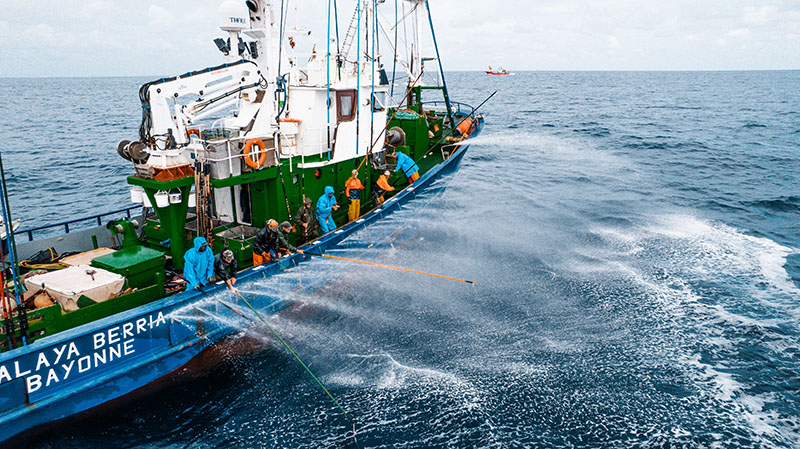 pêcheurs de thon en action de pêche dans le Golfe de Gascogne