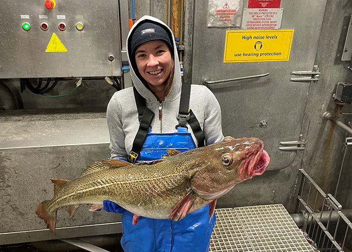 pêcherie de cabillaud et églefin